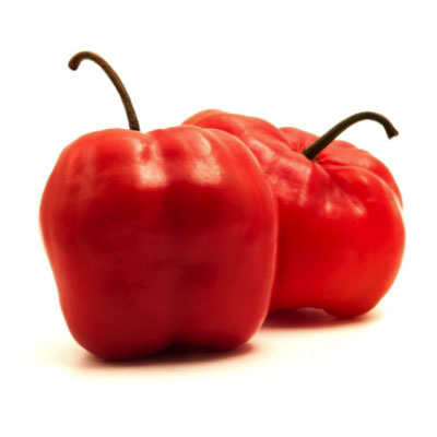 rocoto